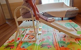 Somnus豊田 ペットok Switch設置 1棟貸切の宿